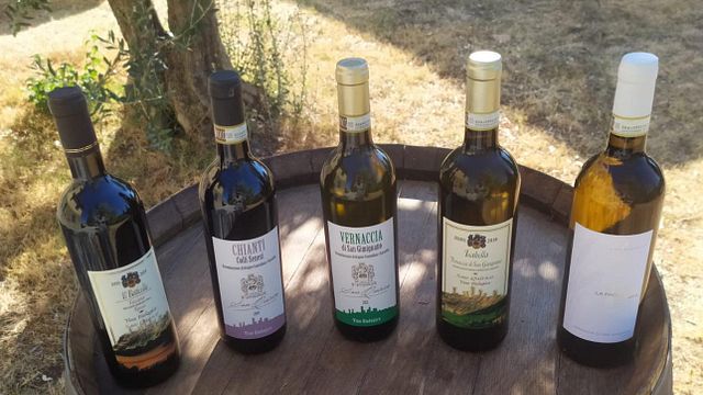 Maxi Wine Tour at Azienda San Quirico