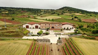 Bodegas Alvia Winery