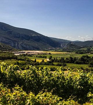 Viagem do vinho Monte Zovo