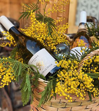 Tenuta La Presa: A Family Legacy in Veneto