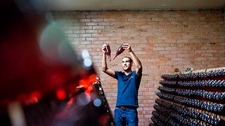 Dégustation de vins au Burkheimer Winzer Am Kaiserstuhl Eg