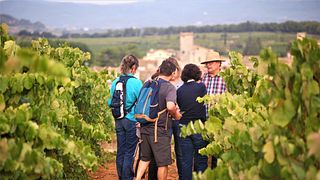 Entdecken Sie die ökologische Landwirtschaft in Katalonien: Führung und Weinprobe