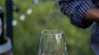 Caça às trufas e degustação de vinhos no Zerbosco Wine & Tasting