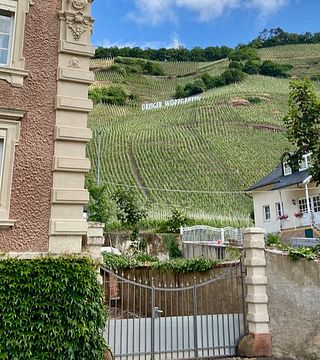Visite privée : Magie de la Moselle - Vins, vignobles et domaines