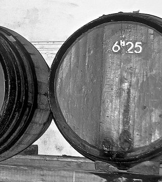 Domaine Vial Magneres