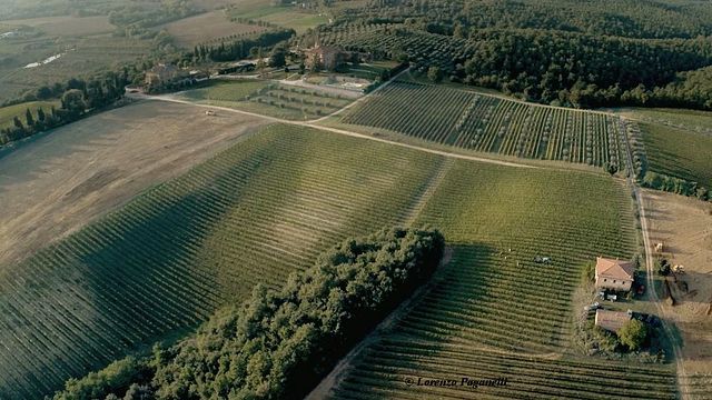 Cantina Gattavecchi