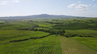 Vini di Volterra: emozioni sensoriali di una “agricoltura VIVA”