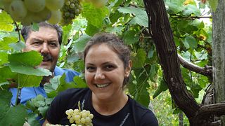 Sorrentino Vesuvio Winery