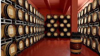 Tuscan Noble Wines: San Fabiano Estate Tour & Tasting