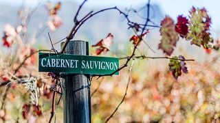 Weinprobe und Tour im Le Manoir De Brendel