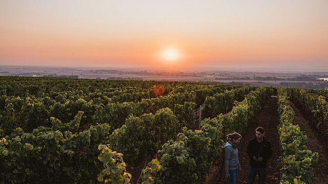 Weingut Lisa Bunn