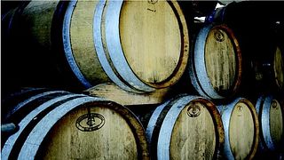 Champagne Tasting Experience at Gisèle Devavry