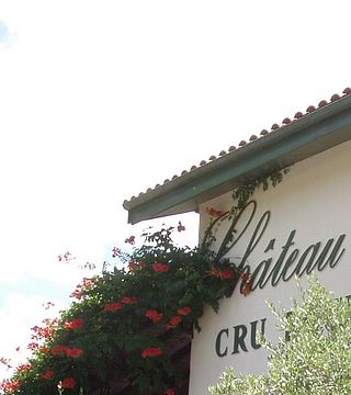 Experience Authentic 100% Natural Vineyard | Wine Tour at Château L'Inclassable