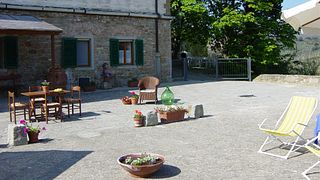 Degustazione di vini rossi e visita alla Tenuta Montiani