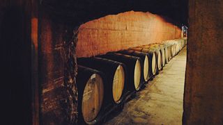 Besuch und Weinprobe im Celler Parató