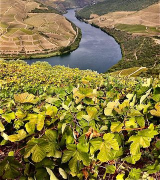 L'esperienza unica della valle del Douro