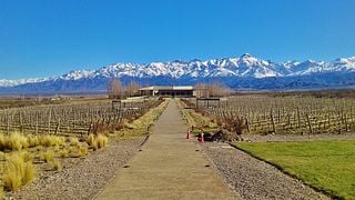 Bodega Salentein