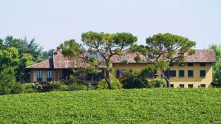 Colle Manora Winery