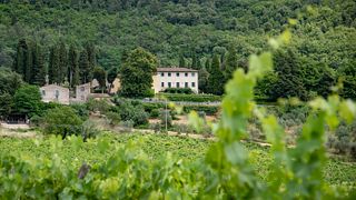 Weinprobe und Führung in der Fattoria Montereggi