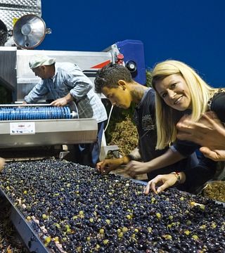 Degustazione di vini e visita alla cantina Santomas