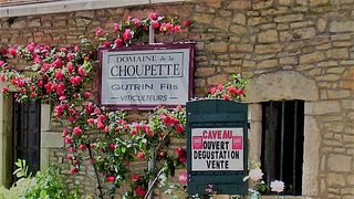 Degustazione di vini al Domaine de la Choupette | Figlio Gutrin