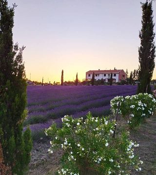 Terredicreta Winery