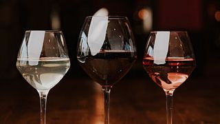 Mediterranean Wine & Taverna Feast in Washington