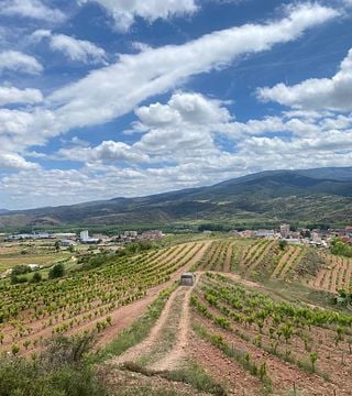 Visit the unique vineyard of Mas Pendiente in Rioja with a Hummer vehicle and tasting of 4 premium wines