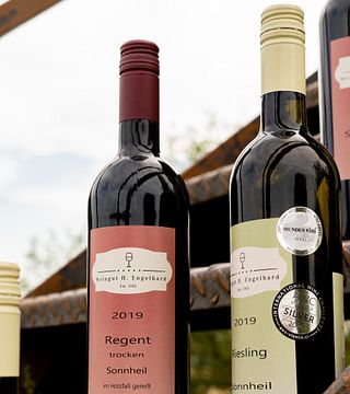 Dégustation de vins d'aventure au Weingut H.Engelhard