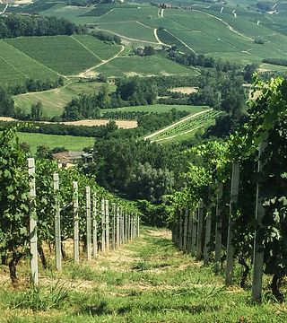 Giacosa Fratelli
