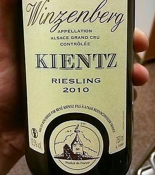 Weinprobe und Führung bei Kientz René Fils
