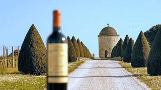 Château Balestard La Tonnelle