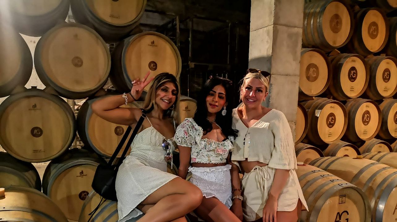 Visite d'un vignoble en petit groupe