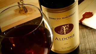 Experience Tuscan Merlot Vertical Journey in Bolgheri