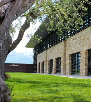 Castorani Winery