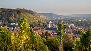 Vinprovning och rundtur på Weingut Arnold