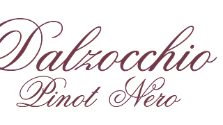 Degustazione esclusiva di vini e visita alla cantina Dalzocchio con vista sulla Vallagarina