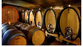 Tour pela vinícola em Weingut Otto Görgen
