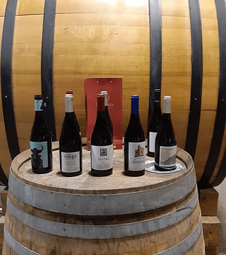 Degustazione di vini e tour popolari a Bodegas Canopy