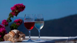 Central Greece Wine Journey at Vriniotis Winery