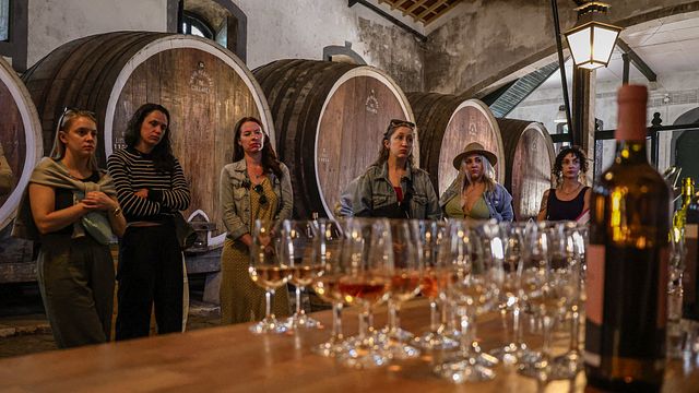 Sintra con jardines del Palacio de Pena y visita a la bodega con catas. Tour en grupos pequeños. 