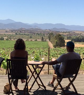 Tour Rota do Vinho - Valle de Guadalupe 