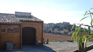 Degustazione e visita presso Carlania Celler