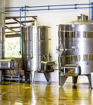 Visita y degustación en la bodega Meerandal