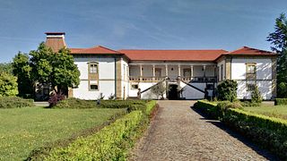 Dégustation de vins haut de gamme à la Casa Da Tojeira