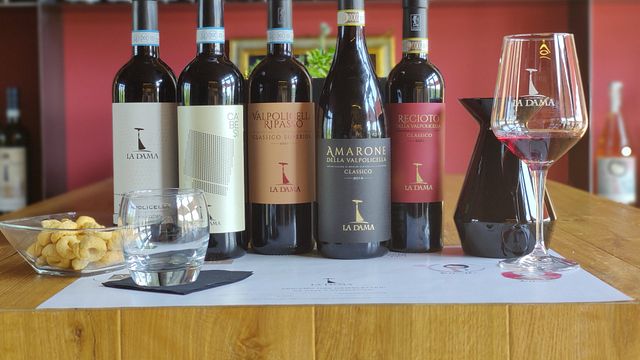 Cata de vinos y tour en La Dama
