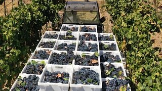 Besök och vinprovning på Quinta do Paral