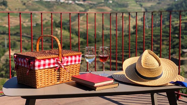 Tour dei vigneti e degustazione di vino Porto presso Quinta da Pousada - Casa de Campo