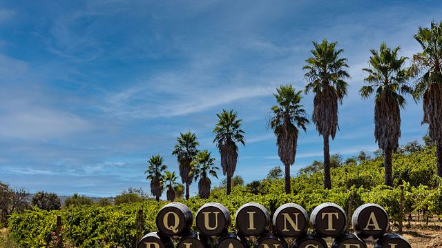 Cata de vinos Bronce en Quinta Da Plansel