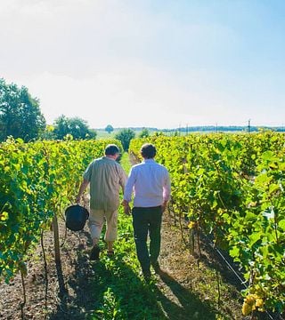 Weinprobe im Château du Petit Thouars